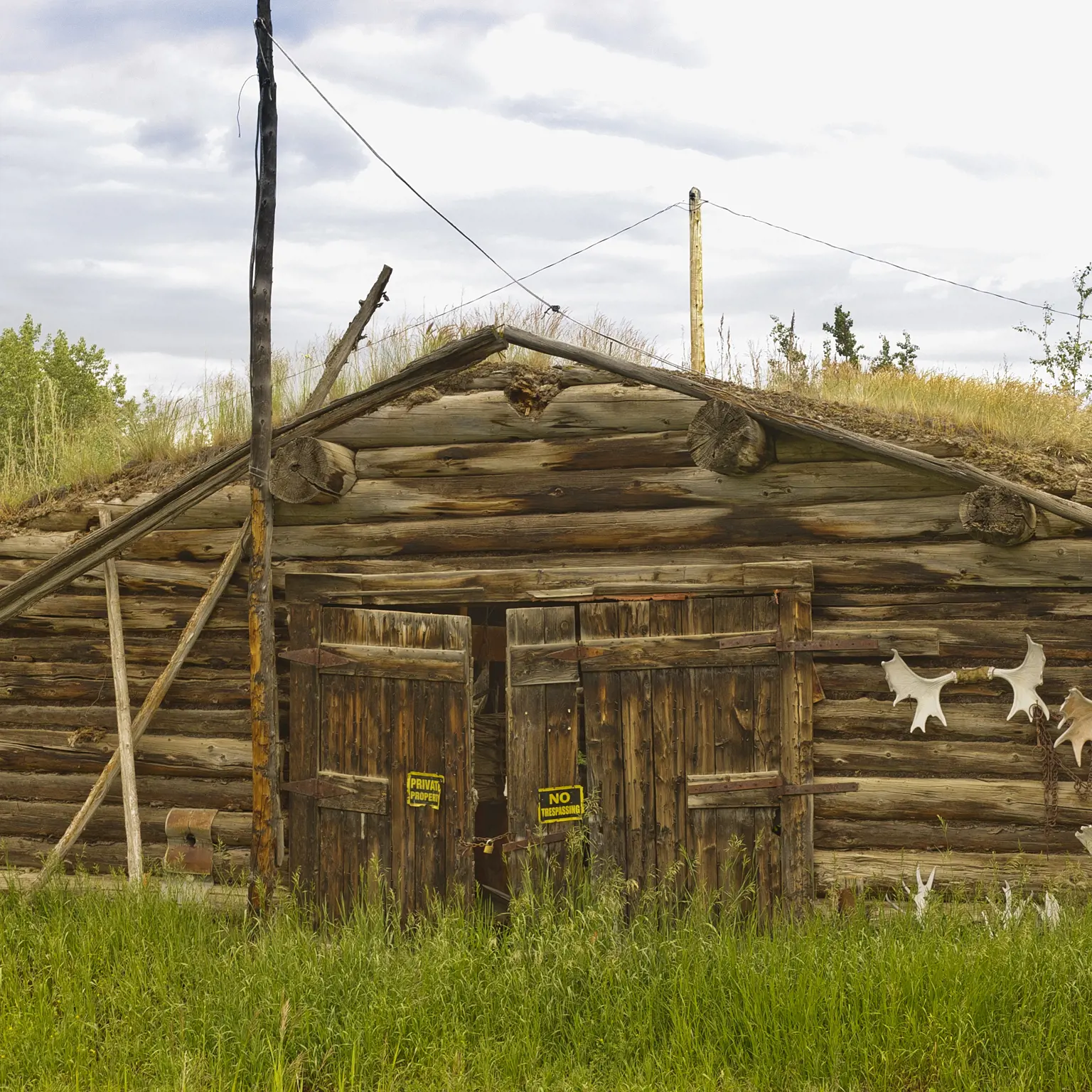 Besuche die kleine Indigenen-Siedlung Carmacks